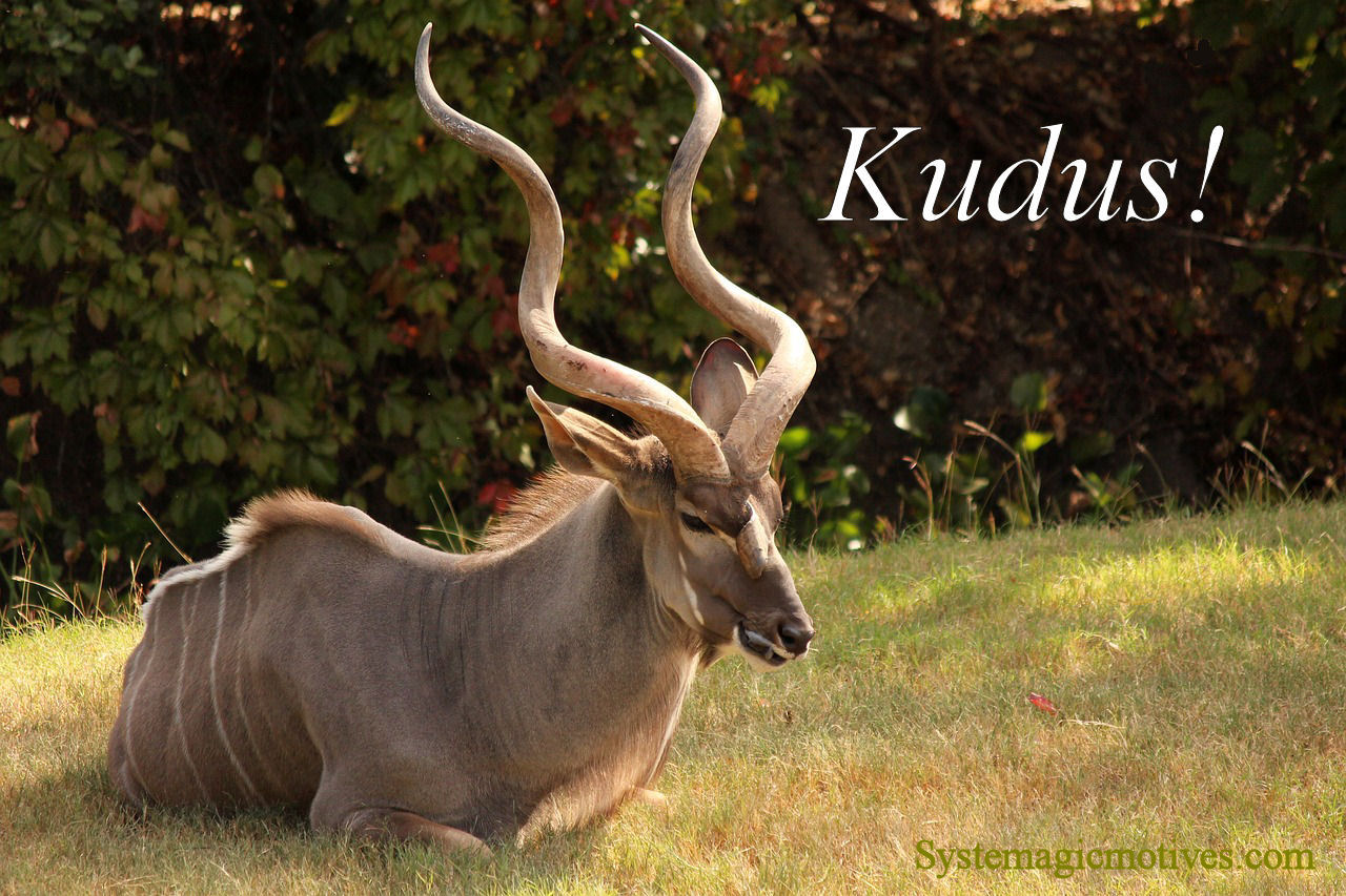 Kudus!