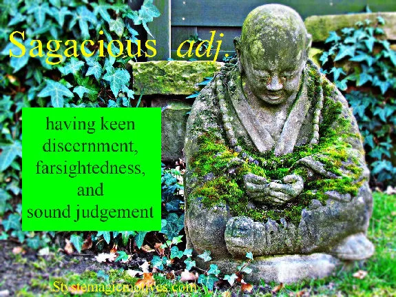 Graphic Definition of Sagacious