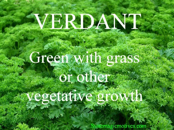 Verdant