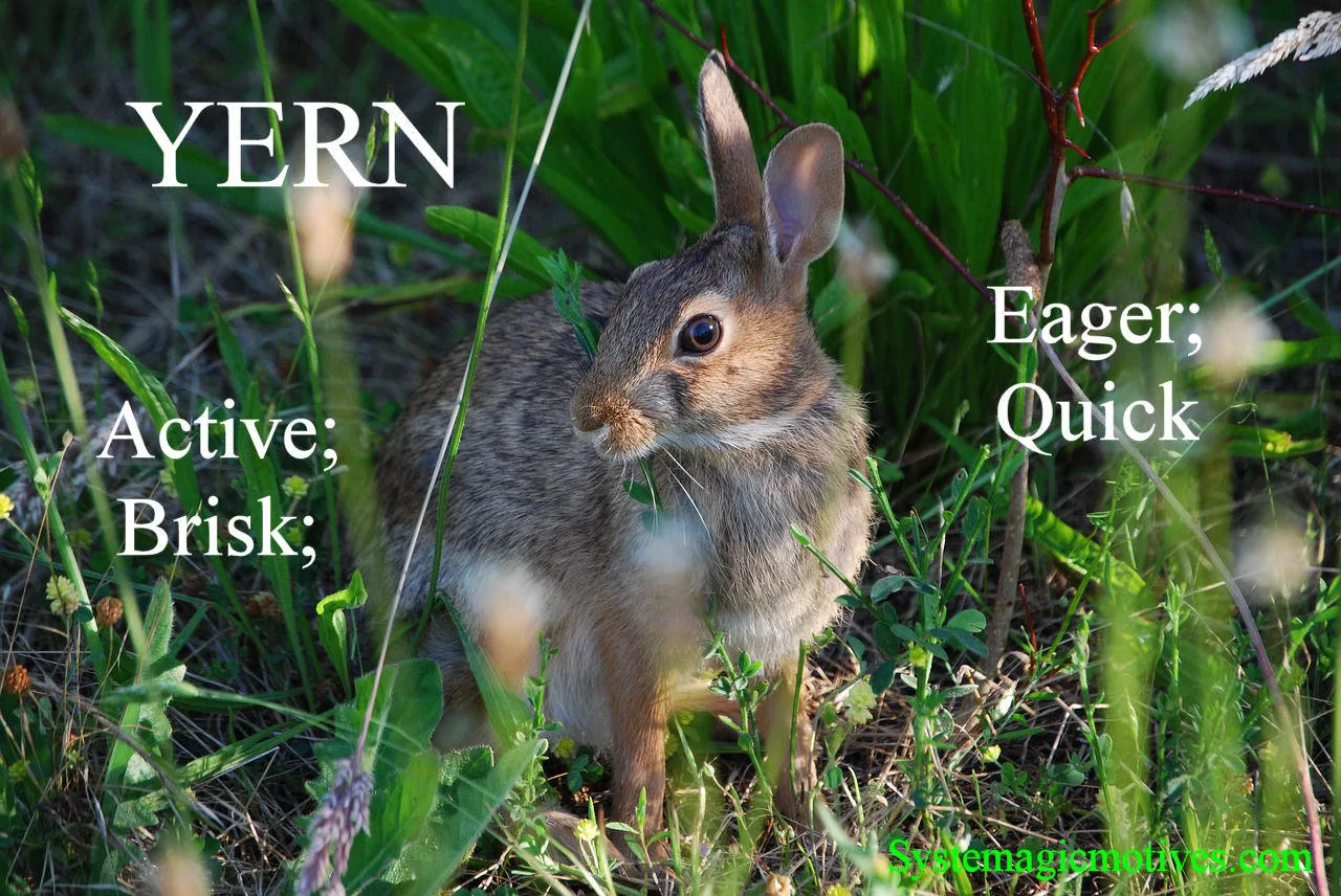 Graphic Definition of Yern