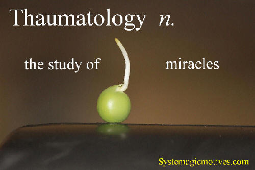 Thaumatoloty - The study of miracles