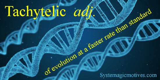 Tacytelic - Of evolution at a faster rate than standard.