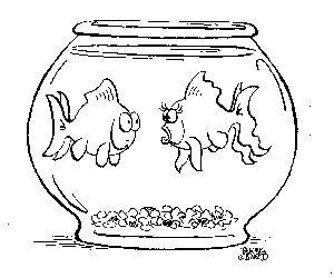 Goldfish Couple in a Bowl
