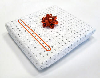 present wrapped in word search puzzle paper with red bow