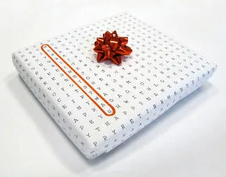 present wrapped in word search puzzle paper with red bow